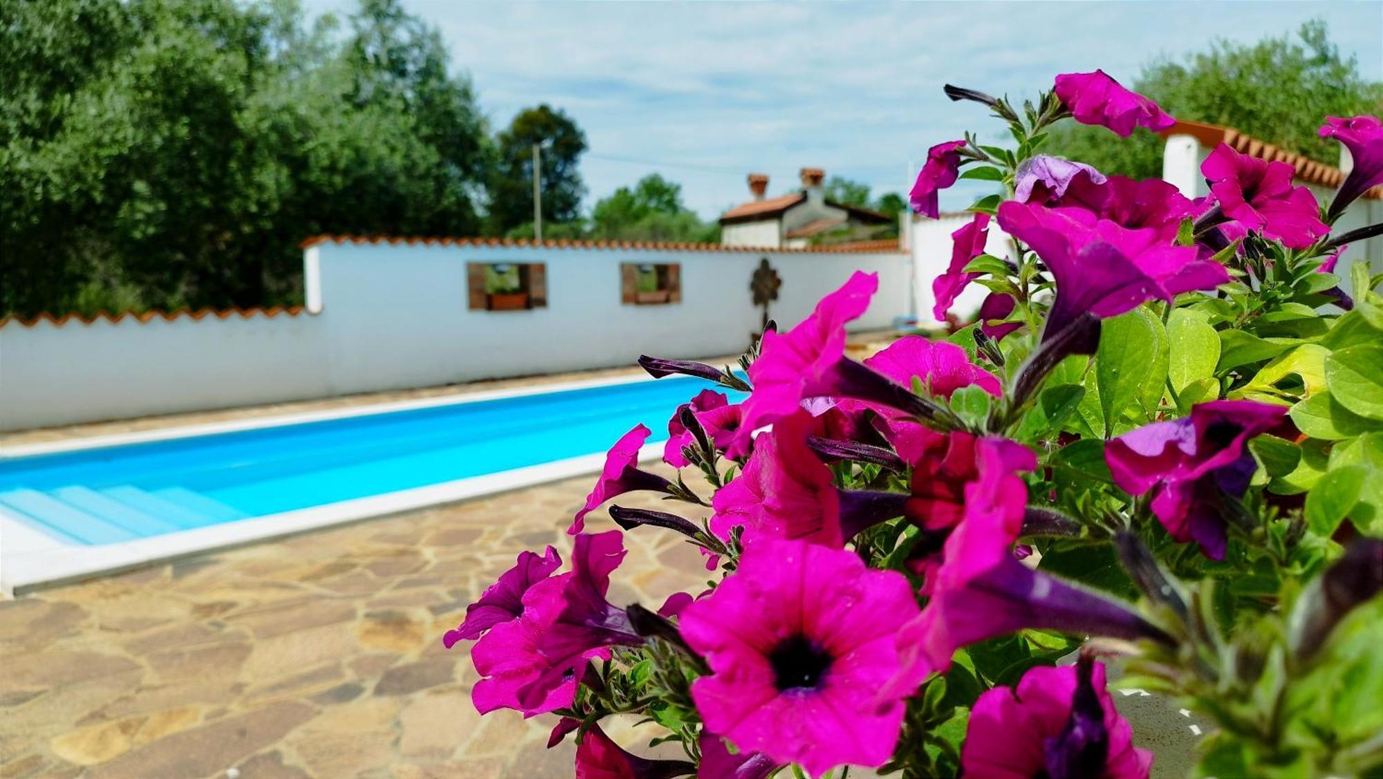 Villa "Pied-A-Terre" Residence & Spa Umag Exteriér fotografie